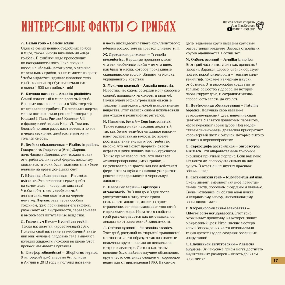 Stalo žaidimas - Micelijus